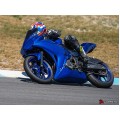 LUIMOTO TANK LEAF Tank Pads for the Yamaha YZF-R3 & YZF-R25 (2015-2018)